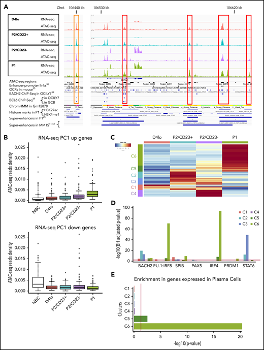 ATAC-seq reveals a progressive commitment to alternative cell fates. (A) An Integrated Genomics Viewer (IGV) window, showing RNA-seq and ATAC-seq signals close to the PRDM1 locus in the different cell populations. Red boxes indicate ATAC-seq regions whose densities are correlated with PRDM1 RNA-seq expression. RNA-seq and ATAC-seq tracks are shown on the same scale to facilitate comparisons of the cell populations. Several features extracted from previously published research are also shown. The orange box on the left shows a region that closes with differentiation and in which a BCL6 TFBS was previously described,39 in agreement with the negative regulation of PRDM1 expression by BCL6. (B) A boxplot of ATAC-seq read densities in regions associated with the 200 genes with the highest score (top, 365 regions) or lowest score (bottom, 389 regions) on the RNA-seq rPC1 axis in the NBC, D4lo, P2/CD23+, P2/CD23–, and P1 populations. Note that densities increase with differentiation status for regions associated with PC differentiation genes (PC1 up) but decrease for NBC identity genes (PC1 down). (C) A heatmap of the 2658 DO ATAC-seq regions showing 6 clusters, each of which was specific for 1 or more cell populations. The numbers of regions per cluster are C1, 271; C2, 343; C3, 320; C4, 349; C5, 301; C6, 1074. (D) HOMER analysis of binding sites enriched in the different ATAC-seq DO clusters for selected TFs known to be involved in terminal B-cell differentiation or appearing in the top 10 TFs in 1 of the clusters (see supplemental Figure 2E). (E) Analysis using enrichr of genes associated with DO region clusters, showing an increasing enrichment of genes strongly expressed in PCs. Red bars indicate the significance threshold in hypergeometric or binomial tests (P < .05).