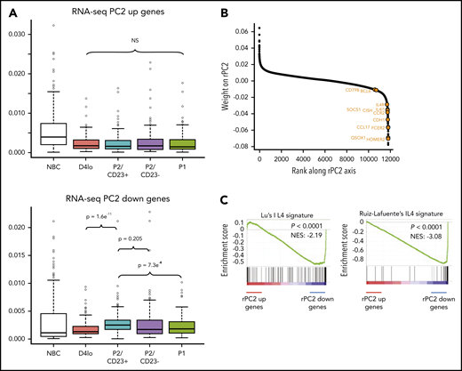 P2/CD23+and P2/CD23–cells show a differential response to IL-4. (A) Boxplot of ATAC-seq read densities for regions associated with the 200 genes with the highest scores (top, 384 regions) and lowest scores (bottom, 426 regions) on the RNA-seq PC2 axis during NBC differentiation. Note that regions associated with the genes from the positive end of the rPC2 axis are open in NBCs but closed during differentiation, whereas regions associated with genes from the negative end of the rPC2 axis are more open in P2/CD23+ cells only (in agreement with the position of this population at the lower end of the rPC2 axis). (B) Ranking of genes according to their rPC2 weights; known IL-4/STAT6 response genes are indicated in orange. (C) GSEA of genes ranked according to their rPC2 weights for 2 IL-4 signatures (B cells in the presence or absence of IL-4). (D) Top panel: positions of genes from Ruiz-Lafuente’s IL-4 signature associated with P2/CD23+ and P2/CD23– cells (orange dots and left cyan diamonds and right purple diamonds, respectively) on the RNA-seq PCA distribution. Middle panels: boxplots of RNA-seq data for these genes in NBCs and the different in vitro cell populations. Bottom panels: ATAC-seq densities of regions associated with genes from the IL-4 pathway and associated with P2/CD23+ (left) or P2/CD23– (right); the observed changes in chromatin accessibility are suggestive of a differential response to IL-4. NS, not significant.