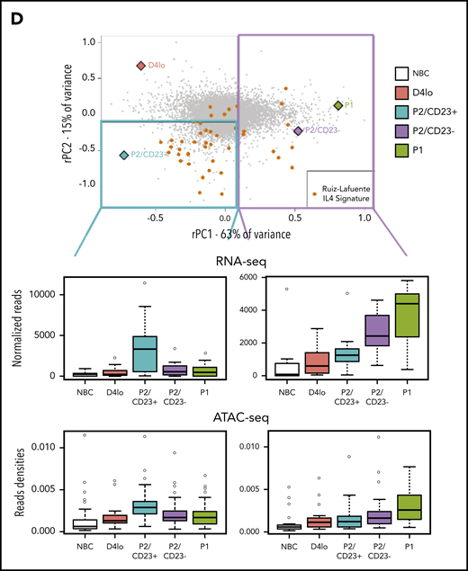 P2/CD23+and P2/CD23–cells show a differential response to IL-4. (A) Boxplot of ATAC-seq read densities for regions associated with the 200 genes with the highest scores (top, 384 regions) and lowest scores (bottom, 426 regions) on the RNA-seq PC2 axis during NBC differentiation. Note that regions associated with the genes from the positive end of the rPC2 axis are open in NBCs but closed during differentiation, whereas regions associated with genes from the negative end of the rPC2 axis are more open in P2/CD23+ cells only (in agreement with the position of this population at the lower end of the rPC2 axis). (B) Ranking of genes according to their rPC2 weights; known IL-4/STAT6 response genes are indicated in orange. (C) GSEA of genes ranked according to their rPC2 weights for 2 IL-4 signatures (B cells in the presence or absence of IL-4). (D) Top panel: positions of genes from Ruiz-Lafuente’s IL-4 signature associated with P2/CD23+ and P2/CD23– cells (orange dots and left cyan diamonds and right purple diamonds, respectively) on the RNA-seq PCA distribution. Middle panels: boxplots of RNA-seq data for these genes in NBCs and the different in vitro cell populations. Bottom panels: ATAC-seq densities of regions associated with genes from the IL-4 pathway and associated with P2/CD23+ (left) or P2/CD23– (right); the observed changes in chromatin accessibility are suggestive of a differential response to IL-4. NS, not significant.