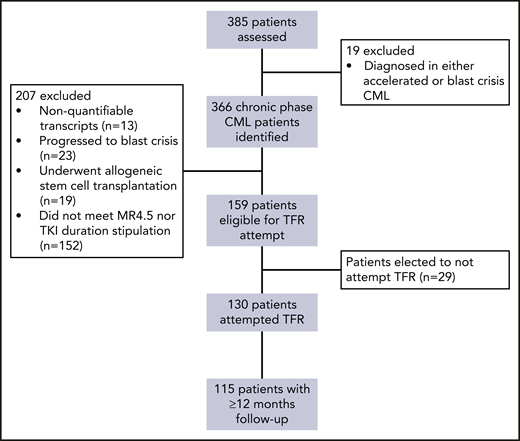Flow diagram illustrating patient disposition.