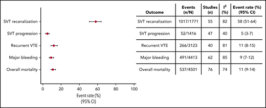 Radiological and clinical outcomes in patients who received anticoagulant therapy.