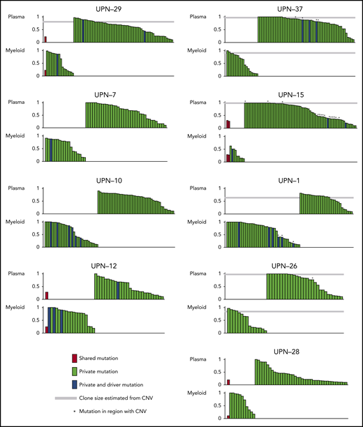 Estimated clone size of shared and private mutations observed in whole-exome sequencing. Putative driver mutations were variants reported in COSMIC or are protein truncating variants. No drivers were seen in shared mutations. Vertical axis shows copy number variation–adjusted clone size of the variants. Mutations in the copy number–altered region are marked with asterisks. COSMIC, Catalogue of Somatic Mutations in Cancer.