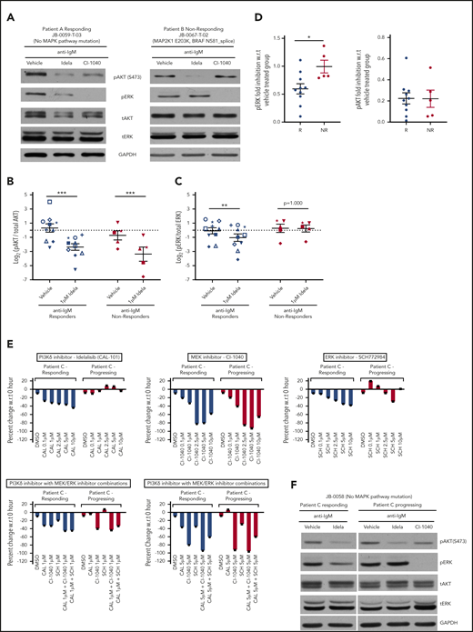 PI3K inhibitor nonresponders show upregulation of ERK1/2 signaling. (A) Western blot analysis of peripheral blood mononuclear cells (PBMCs) from a PI3K responding (left) and nonresponding (right) patient pretreated with either vehicle or 1 μM idelalisib (Idela) or 1 μM CI-1040 (MEK1/2 inhibitor) for 1 hour and stimulated with anti-IgM for 15 minutes. The samples were profiled for pERK, total ERK, pAKT, total AKT, and glyceraldehyde-3-phosphate dehydrogenase (GAPDH). Quantification of pAKT (B) and pERK (C) from 10 independent responders and 5 independent nonresponders. A different symbol is used for each patient to trace their response. The measurements were log transformed to satisfy statistical model assumptions. (D) Fold inhibition of pERK and pAKT with 1 μM idelalisib, in 10 responders (R) and 5 nonresponders (NR) compared with the vehicle-treated group. (E) CellTiter-Glo luminescent cell viability experiment at 48 hours for a patient who initially responded to idelalisib but later progressed on the drug. The patient’s PBMCs from responding and progressing time points were treated with the indicated doses of idelalisib, CI-1040 (MEK1/2 inhibitor), SCH772984 (ERK1/2 inhibitor), or a combination of idelalisib with either CI-1040 or SCH772984 at 1 μM and 5 μM concentrations. (F) Representative immunoblot of a sample from a patient with acquired resistance at responding and progressing time points. The sample was treated with either vehicle or 1 μM idelalisib or 1 μM CI-1040 for 1 hour and stimulated with anti-IgM for 15 minutes. The samples were profiled for pERK, total ERK, pAKT, total AKT, and GAPDH. Data are presented as mean ± standard error of the mean (SEM). ***P < .001; **P < .01; *P < .05 by mixed effects analysis of variance, Holm-Sidak test. CAL-101 (idela), idelalisib; DMSO, dimethyl sulfoxide; SCH, SCH772984 (a selective ERK1/2 inhibitor); w.r.t., with respect to.