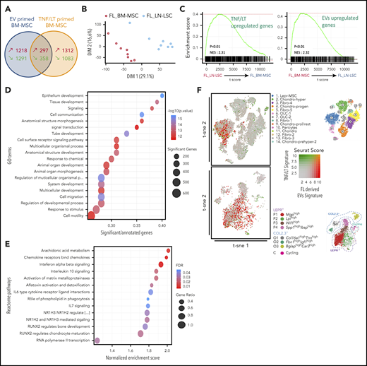 Comparison of the GEP of BM-MSCs primed by FL-derived EVs or TNF/LT. (A) Venn diagram representing the number of genes upregulated and downregulated in HD BM-MSCs (n = 5) by FL-derived EVs from 3 different FL B-cell lines vs TNF/LT, as evaluated by RNA-seq. (B) Unsupervised PCA of Affymetrix GEP of FL-derived BM-MSCs (FL_BM-MSC) (n = 8) and FL-derived LN-LSCs (FL_LN-LSC) (n = 8). (C) GSEA enrichment scores for the TNF/LT signature (1312 upregulated genes) and EV signature (1218 upregulated genes) between FL_BM-MSCs and FL_LN-LSCs. (D-E) Study of the EV signature using GO term enrichment analysis (D) and GSEA on REACTOME pathways (E). (F) Comparison of the EV-primed BM-MSCs and the TNF/LT-primed BM-MSCs with the murine BM mesenchymal cells recently described by single-cell RNA-seq.25,26 The assignment of the mouse BM stroma cell clusters restricted to the mesenchymal compartments as described in these 2 studies is indicated on the right. FDR, false discovery rate; t-sne, t-distributed stochastic neighbor embedding.