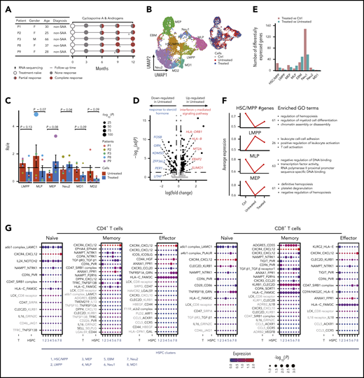 Transcriptome dynamics of HSPCs and T cells and their crosstalk after immunosuppressive therapy. (A) Diagram of tracking patients with non-SAA (n = 5) responsive to immunosuppressive treatment. Characteristics of each patient are shown on the left table; days of follow-up relative to diagnosis and the time points for sample collection are shown on the right accordingly. (B) UMAP display of HSPCs based on single-cell transcriptomes. Each dot represents a single cell; colors indicate cell clusters (left) and source of donors (right) (untreated, n = 12; treated, n = 5). (C) Bar plot showing the ratio of observed to expected cell numbers of each cell type in patients with both untreated and treated samples (n = 5). Dots indicate individual patients and dot sizes indicate logarithmic transformed P values (χ2 test). Error bars represent ± standard error of the mean. Student t test was used for differential comparison between untreated and treated. (D) Volcano plot showing the DEGs of MD2 in treatment-naïve patients (n = 12) compared with control (Ctrl). Each dot represents a single gene; the black dots represent DEGs (fold change using default parameters in Seurat with Bonferroni adjusted P ≤ .05). Selected enriched GO terms of downregulated and upregulated genes in treatment-naïve patients are shown on the top. Genes with blue and red colors are related to response to steroid hormone and IFN-γ–mediated signaling pathway, respectively. (E) Bar plot displays the number of DEGs between different donor groups in HSPCs (untreated, n = 12; treated, n = 5). (F) Line chart showing the expression dynamics of 4 gene sets in Ctrl and different time points of patients with non-SAA illustrating milder hematopoietic improvement after treatment (left) (untreated, n = 12; treated, n = 5). The number in the middle means the number of genes sharing the same expression pattern in each cluster. Enriched GO terms in each cluster were shown on the right. (G) Molecular interaction states of 55 ligand-receptor pairs (rows) between HSPCs and T cells (columns) in non-SAA after immunosuppressive treatment (n = 5). Molecules in gray indicate that they were downregulated in T cells or HSPCs. Dot sizes and colors represent logarithmic transformed P values (permutation test) and mean expression of interacting molecules in corresponding cell subsets.