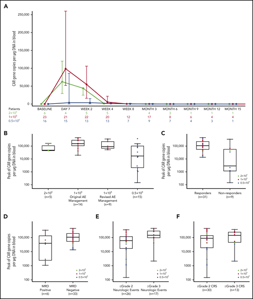Peak CAR T-cell expansion and associations with response, MRD, and toxicity. (A) Expansion and persistence of CAR T cells depicted as medians and IQRs. (B) Peak CAR T-cell levels by dose level, including in original vs revised AE management (1 × 106 cells per kg dose level). (C-F) Association between peak CAR T-cell expansion and ORR (C), MRD (D), grade ≥3 NEs (E), and grade ≥3 CRS (F). The horizontal line within each box represents the median, the lower and upper borders of each box represent the 25th and the 75th percentiles, respectively, and the error bars represent the 95% CI.