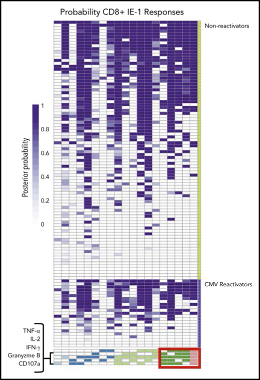 Functional CMV IE-1 CD8+T-cell subsets at the patient level grouped by late CMV reactivation. Heat map of functional CD8+ T-cell subsets to CMV IE-1 at the subject level quantified by posterior probabilities and grouped according to late CMV reactivation (lower violet) vs no reactivation (upper green). Rows correspond to entire antigen-specific cell subsets represented in a patient and are arranged in columns by ascending degree of functionality, from 1 (light blue) to 5 (pink) functions. Individual heat map cells show posterior probability that a functional antigen-specific cell subset is present in a patient and are color coded from white (0) to dark purple (1). For example, patient 1 has a probability of 1.0 of possessing CD8+ T cells that express all 5 functional markers but 0 probability of possessing CD8+ T cells expressing only TNF-α and granzyme B in response to stimulation with IE-1. Note the increased proportion of subjects with 4 and 5 functional type CD8+ T-cell subsets (red box) among patients without CMV reactivation vs those with CMV reactivation.