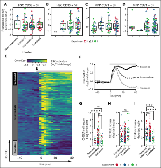 Known HSPC surface markers do not predict ERK signaling dynamics, but signaling dynamics predict future HSPC fates. (A-D) Expression levels of CD33 in HSCs and CD71 in MPPs were quantified for 10 time points before cytokine stimulation (−40 to −4 minutes). Average values for each cell were z-normalized within individual experiments. Pooled data from 3 independent experiments are shown, with symbols representing single cells. CD33 expression levels of HSCs exhibiting different ERK signaling dynamics are shown upon the stimulation of 3F (n = 90 cells) (A) and 5F (n = 72) (B). CD71 expression levels of MPPs are shown in response to 3F (n = 86) (C) and 5F (n = 108) (D). No statistical significance (P > .05) was detected between 4 clusters by pairwise Wilcoxon rank sum test with FDR correction. (E) ERK signaling dynamics in single HSCs upon 5F stimulation. Cells are organized according to the identified 3 clusters (transient, intermediate, and sustained) based on hierarchical clustering (dynamic time warping and Ward’s linkage method) of responding cells (n = 109). Gray bar at the top indicates the timing of cytokine presence. Black solid arrow indicates the addition of cytokines. (F) Population average of ERK signaling dynamics in the 3 clusters identified in E. (G-I) ERK response dynamics predict CD45RA and CD34 expression in HSC daughter cells. Expression of CD45RA, CD33, and CD34 (average over a cell’s lifetime) in HSCs and their progeny was quantified for 3 days after 5F stimulation. Statistical analysis by unpaired Student t test with Welch’s correction. ****P < .0001; ***P < .0005; **P < .005; *P < .05; ns, P > .05.