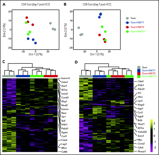 Adoptive transfer of distinct iNKT subsets differentially affect CD4 and CD8 Tcon transcriptome during murine acute GVHD. RNA-seq analysis of CD4 (A,C) and CD8 (B,D) Tcon recovered at day 7 post-HCT from animals treated with the indicated iNKT sublineages (untreated, gray; iNKT1, blue; iNKT2, red; iNKT17, green). (A-B) Principal component analysis of transcriptome based on the top 500 differentially expressed genes across all samples. (C-D) Heatmap and hierarchical clustering based on the 500 most highly differentially expressed genes across all samples. Immune-related genes are highlighted. Expression for each gene is scaled (z scored) across single rows. Analysis was performed on 3 biological replicates from 2 independent experiments.