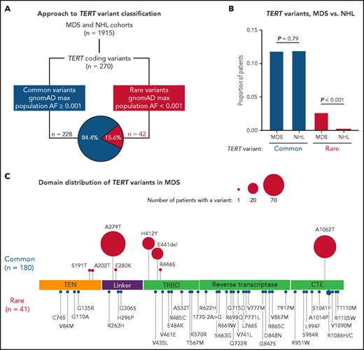 TERT variants in MDS and NHL. (A) Classification approach of nonsynonymous TERT coding variants identified in the MDS and NHL cohorts. (B) Frequency of TERT common and TERT rare variants within the MDS and NHL cohorts. (C) Domain distribution of TERT variants within the MDS cohort. TERT common variants (n = 180) and rare variants (n = 41, R1086H in 2 patients) are located above and below the coding region, respectively. The size of each ball is proportional to the number of patients with that variant. TERT rare variants are colored in red and TERT common variants in blue.