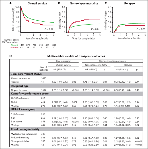 Transplant outcomes by TERT rare variant status. (A) Kaplan-Meier curve for overall survival. (B) Cumulative incidence curves for nonrelapse mortality. (C) Cumulative incidence curves for relapse. Patients with a TERT rare variant are colored in red and patients without a TERT rare variant are colored in green. (D) Multivariable models of overall survival, NRM, and relapse.