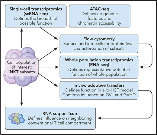 The methodological approach taken by Maas-Bauer et al, which can be broadly applied to any cell subset of interest. Professional illustration by Patrick Lane, ScEYEnce Studios.