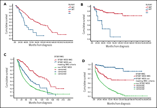 Kaplan-Meier estimates of overall survival and leukemia-free survival. (A) OS based on RUNX-1 MT status among SF3B1 MT MDS patients. (B) Leukemia-free survival based on RUNX-1 MT status among SF3B1 MT MDS patients. (C) OS based on SF3B1 mutation status by new proposal IWG criteria. (D) Leukemia-free survival based on SF3B1 mutation status by new proposal IWG criteria.