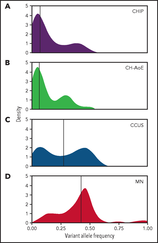 Distribution of VAF throughout the spectrum of clinical phenotypes. (A) Distribution of VAFs in individuals with CHIP (n = 70); (B) in individuals with unexplained anemia and clonal hematopoiesis (CH-AoE; n = 49); (C) in patients with CCUS (n = 87); and (D) in patients with MN (n = 518). For the purpose of this analysis, maximum VAF was analyzed in patients harboring ≥2 mutations.