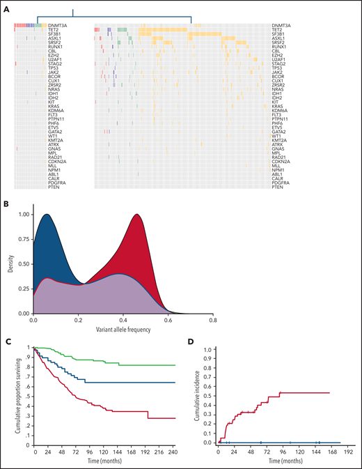 Distinct clusters identified based on genetic profiles throughout the spectrum of clinical phenotypes. (A) Mutation profiles of clusters identified by unsupervised clustering analysis based on genetic profiles throughout the spectrum of clinical phenotypes: CH-like cluster (left) and MN-like cluster (right). (B) Distribution of VAFs of mutation patterns in the 2 clusters identified by the unsupervised clustering analysis (CH-like cluster, blue curve; MN-like cluster, red curve). (C) Overall survival of the 2 clusters identified by the unsupervised clustering analysis (CH-like cluster, blue curve; MN-like cluster, red curve) and of individuals with no mutations (green curve). (D) Cumulative incidence of progression to MN estimated with a competing-risk approach within the CCUS cohort segregated based on unsupervised analysis (CH-like cluster, blue curve; MN-like cluster, red curve).