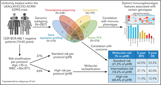Design of an integrated analysis that includes genomic profiling, immunophenotyping, and outcome evaluation of patients with BCR-ABL1− B-ALL treated in the UKALLXII/ECOG-ACRIN E2993 trial.7 Of the patients previously classified in the protocol as high risk (based on WBC count and age), 39.4% were restratified as molecular standard risk (21.2%) or intermediate risk (18.2%). Professional illustration by Patrick Lane, ScEYEnce Studios.