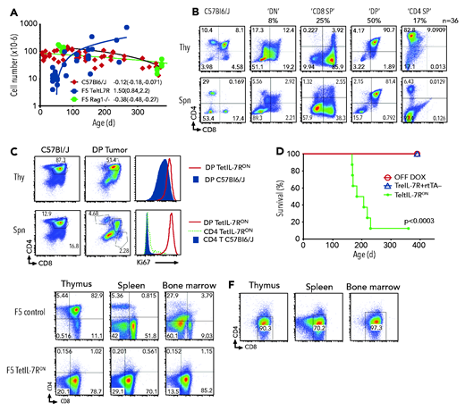 IL-7Rα expression results in progressive thymic hyperplasia and disseminated, fatal T-cell leukemia/lymphoma. (A) Thymus cellularity vs age from wild-type F5 control and F5 TetIL-7RON mice. Numbers indicate slope of line fit and 95% confidence intervals. (B) CD4 vs CD8 expression by thymocytes and splenocytes from TetIL-7RON mice (n = 36). Lymphoma/leukemia present in thymus and spleen, characterized by their expression of CD4 and CD8 into DN, CD8 SP, DP, and CD4 SP. A representative example of each phenotype is shown and the percent incidence of phenotype indicated under the phenotypic label. (C) CD4 vs CD8 expression by thymocytes and splenocytes from TetIL-7RON or control C57Bl6/J mice. Histograms are of Ki67 labeling of thymocytes (top) and splenocytes (bottom) of the indicated subpopulation from either TetIL-7RON or C57Bl6/J control mice. (D) Survival of cohorts of TetIL-7RON (n = 8) vs TetIL-7ROFF (n = 4) and TreIL-7R+ rtTA– Il7r−/− mice (n = 4). Mice were culled when they reached the defined humane end point (see “Methods”). P = .0003. (E) Phenotype in the indicated organs of F5 TetIL-7RON mice identified with clinical signs of disease (tumor), as compared with IL-7RWT F5 control mice (control). Density plots are of CD4 vs CD8 in the thymus, spleen and bone marrow of the indicated conditions. (F) Malignant thymocytes from donor mouse in (E) were transferred into Rag1−/− recipients (n = 8). Four weeks later, thymus, spleen, and bone marrow were analyzed for the presence of donor cells. Shown is pooled data of 2 (D) or 6 (A-B) independent experiments or mean results of 3 (C,E-F) independent experiments.