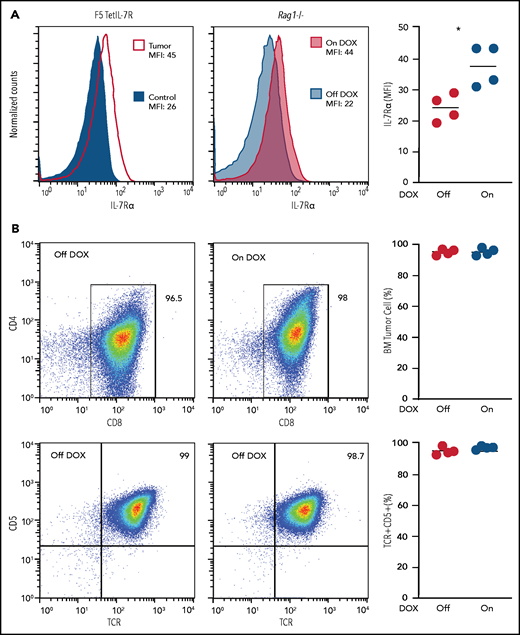 Maintenance of established TetIL-7R tumors no longer appears to require high IL-7Rα expression. (A) IL-7Rα expression was measured in F5 TetIL-7R primary tumor cells (left), and after adoptive transfer into Rag1−/− mice (middle). Mean fluorescence intensity (MFI) of primary tumor cells collected from the thymus of a sick mouse continuously fed dox (tumor) were compared with the DP (CD4+CD8+) cells of an F5 control mouse (used as the negative control; left). Malignant cells collected from the thymus of the same mouse were transplanted into Rag1−/− recipient mice that were fed with (On dox) or not fed (Off dox) dox-containing food for 4 weeks after transplantation (middle). MFI was compared after 4 weeks between On- and Off-dox groups. IL-7Rα MFI for each transplant-recipient animal (right). (B) Transplanted cells collected from the bone marrow of On- and Off-dox recipient mice 4 weeks after transplantation were compared for their immunophenotype. CD4 vs CD8 (top) and CD5 vs TCRαβ (bottom). Frequency of cells within the gate (left) for each transplant recipient. Results are representative of 3 independent experiments (each from a different primary tumor).