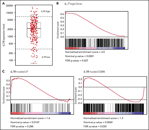 Patients with T-ALL with high wild-type IL7R expression display evidence of oncogenic IL-7R–dependent signaling activation. (A) Normalized IL7R gene expression levels in T-ALL patients with wild-type IL7R (n = 246). Dashed lines mark the 20 cases with the highest expression (above top line) and the 20 cases with lowest IL7R expression (below bottom line), used for comparison in the subsequent analyses. Only IL7R wild-type cases were analyzed. (B-C) Ranked GSEA on differentially expressed genes between IL7R-high and -low cases for the sets of IL-7 target genes in pro-T cells (B), and genes upregulated in IL7R-mutant T-ALL samples (left) and downregulated in IL7R-mutant cases (right) (C).