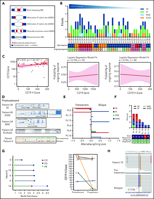 Association between CD19 splice variants at pretreatment or relapse and response. (A) CD19 splicing events scheme. (B) Distribution of CD19 splice variants in pretreatment biopsies by CD19 H-score. (C) Association between pretreatment CD19 gene (transcript per million) and protein expression (left) and their respective relationship with ongoing response (middle and right). (D) Sashimi plots depicting characteristic ASEs in representative biopsies. (E) Prevalence of CD19 splice variants in paired pretreatment-relapse biopsies. (F) CD19 splice variants in relapse biopsies shown in panel E. Numbers denote impacted exons. (G) Response (left) and CD19 H-score (right) of patients shown in panel E. (H) Integrated Genomics Viewer snapshots showing CD19 mutations detected in paired pretreatment-relapse biopsies (representative patient 10). Blank, others; NR, nonresponder; O, ongoing response; Pt., patient; RE, relapsed.