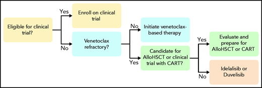 Suggested management for patient with CLL who develop resistance to currently approved BTKi. AlloHSCT, allogeneic hematopoietic stem cell transplantation; CART, chimeric antigen receptor T cell.