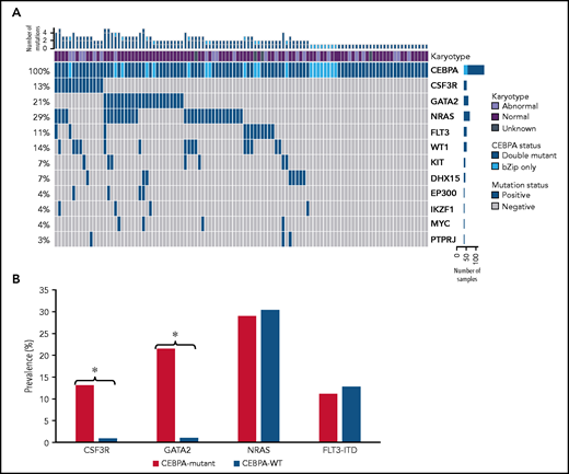 Molecular profiles of patients with CEBPA mutations as determine by NGS. (A) Cyto-molecular status and co-occurring mutational profile of patients with CEBPA double and CEBPA-bZip mutations. (B) Comparison of common co-occurring mutations in patients with CEBPA mutations compared with patients with CEBPA-WT. *P < .0001.