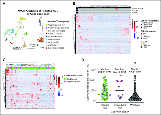 Transcriptome profiling according to CEBPA mutational status. (A) Gene expression clustering according to mutational status with CEBPA-mutant samples compared with other molecular alterations that have prognostic implications in pediatric AML. (B-C) Unsupervised hierarchical clustering of patients according to CEBPA mutational status (B) and with CEBPA-bZip and double mutations (C). (D) CEBPA mutational status and association with CEBPA transcript expression. mut, mutation; TPM, transcripts per million.
