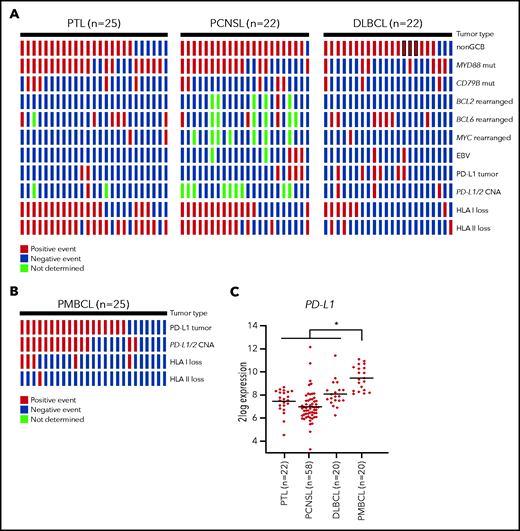 Oncoprint plot. Shown is the molecular analysis of the PTLs, PCNSLs, and DLBCLs (A) and PMBCLs (B). All tissue samples were obtained during standard diagnostic procedures. Immunohistochemistry was performed on formalin-fixed, paraffin-embedded tissue using anti-HLA class I (clone HC10, Nordic-MUbio), anti-HLA-DP,DQ,DR (clone CR3/43, DAKO), anti-PD-L1 (clone 22C3, DAKO), anti-PAX5 (clone SP43, Cell Marque), anti-CD10 (clone 56C6, ThermoFisher), anti-MUM1 (clone MUM1p, DAKO), anti-BCL2 (clone 124, Dako), and anti-BCL6 (clone PG-B6p, Dako) on a Labvision Autostainer 480S (ThermoFisher). Samples were scored positive for PD-L1 when membranous staining was observed in at least 5% of the malignant cells. Expression of EBV was determined by EBV-encoded RNA in-situ hybridization (EBER) probes (Biogenex). FISH for detection of BCL2, BCL6, and cMYC breaks was performed using probes and a FISH accessory kit (Dako). FISH for detection of PD-L1/2 CNAs was performed with the ZytoLight CD274/PDCD1LG2/CEN 9 Dual Color Probe (ZytoVision). FISH slides were evaluated in the context of serial sections stained for PD-L1 and B-cell markers (CD20 and PAX5) to localize tumor infiltrates. Samples were scored as having 9p24.1 disomy, polysomy, copy gain, or amplification. The presence of 3 or 4 green signals was classified as gain and the presence of 5 or more green signals was classified as amplification. Testing for somatic MYD88 and CD79B mutations was performed with allele-specific polymerase chain reaction, as described previously.7 Sanger sequencing was used to verify the presence of a mutation. (C) PD-L1 mRNA expression analysis of publicly available microarray data sets derived from the National Center for Biotechnology Information (NCBI) Gene Expression Omnibus (accession numbers GSE10524, GSE61578, GSE34771 and GSE87371). All microarray data sets were generated with Affymetrix Human Genome U133 Plus 2.0 Array, and data analysis was performed with the R2: Genomics Analysis and Visualization Platform (http://r2.amc.nl). The horizontal line represents the median expression within each group. Differences among subtypes were tested by Kruskal-Wallis test with the post hoc Dunn’s test. *P < .05.
