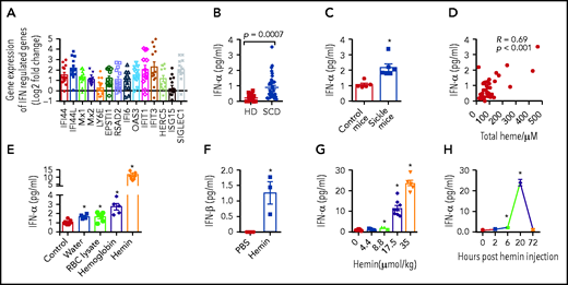 IFN-I can be induced by hemolysis. (A) Fold change in 14 IFN-I inducible genes as determined by RNA-Seq (IFI44, IFI44L, Mx1, Mx2, LY6E, EPSTI1, RSAD2, IFI6, OAS3, IFIT1, IFIT3, HERC5, ISG15, and SIGLEC1) in SCD CMo (n = 13) relative to HD CMo (n = 6). (B) Plasma IFN-α levels in HD (n = 19) and SCD patients at steady state on a chronic transfusion protocol (n = 36). (C) Plasma IFN-α levels in control and sickle mice (n = 5-6). (D) Scatter plot analysis showing correlation relationship between plasma IFN-α levels and plasma total heme levels in patients with SCD (n = 36 as in panel B). (E) Plasma IFN-α levels in WT mice at 20 hours after IV injection with PBS as control (200 µL/20 g body weight), water (300 µL/20 g body weight), RBC lysate (17.5 µmol hemoglobin/kg body weight in 200 µL), hemoglobin (17.5 µmol/kg body weight in 200 µL), or hemin (17.5 µmol/kg body weight in 200 µL) (n = 4-8). (F) Plasma IFN-β levels in WT mice at 20 hours after IV injection with PBS as control (200 µL/20 g body weight), or hemin (35 µmol/kg body weight in 200 µL) (n = 3-5). (G) Plasma IFN-α levels in WT mice at 20 hours after IV injection with hemin at doses of 0, 4.4, 8.8, 17.5, or 35 µmol/kg body weight all in 200 µL (n = 3-10). (H) Plasma IFN-α levels in WT mice at time point of 0, 2, 6, 20, and 72 hours after IV injection with hemin (35 µmol/kg body weight in 200 µL) (n = 3-7). Data represent mean ± SEM; means were compared using 2-tailed Student t test. *P < .05.