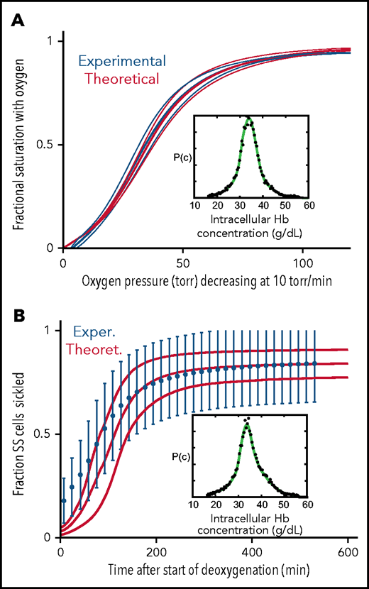 Comparison of experimentally measured and theoretically calculated ODCs and sickling vs pressure curves. (A) ODC. The ODC (thick continuous blue curve) measured with a Hemox Analyzer is the average curve determined for blood from 7 patients with SCD, with a mean Hb composition of 83% HbS, 14% HbF, and 3%HbA2. The insets show the average intracellular Hb concentration distribution (black points) measured for the 7 samples. The thin blue curves show the standard deviation from the mean resulting from patient-to-patient variation. The thick continuous red curve ODC is the theoretically calculated average curve for blood from the 7 patients with the standard deviation from the average indicated by the thin red curves. The inset shows the average intracellular Hb concentration (black points) measured in the 7 samples. (B) Sickling. The blue points are the average measured fraction sickled vs time in 23 patients with SCD, with the sum of the HbF and HbA2 percentages less than 12%; the mean hemoglobin composition is 92% HbS, 4% HbF, and 4% HbA2, with error bars representing the standard deviation from the average resulting from patient-to-patient variation.