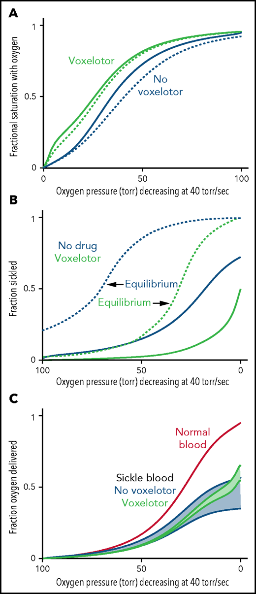 Oxygen delivery with and without voxelotor. (A) ODC. The in vivo whole-blood ODCs at a rate of oxygen pressure decrease of 40 torr/s were calculated in blood samples from 23 patients with SCD, using the solution ODC and the average composition in the legend to Figure 1 and the intracellular concentration distribution given in the inset to Figure 5B. The continuous blue curve is for blood with no drug; the continuous green curve is for blood with 26% of the Hb modified as found for the average modification in the clinical trials14 with reduced sickling (B). The dotted curves would be observed if polymerization were at equilibrium at every oxygen pressure. (B) Sickling. The fraction sickled vs time is calculated for whole blood without (blue) and with (green) voxelotor at a 26% modification of Hb. (C) Oxygen delivery. The fraction of oxygen delivered is calculated in 2 scenarios. The upper continuous blue and green curves correspond to the scenario where all cells contribute to oxygen delivery, whether or not the cells are sickled. The lower blue and green curves correspond to the scenario in which cells deliver oxygen until they sickle. At the sickling pressure and below, they stop delivering. For cells with bound drug, the Hb level is increased from 8.5 to 9.5 g/dL, to account for the increase observed in patients treated with the drug.14 The red curve is the oxygen delivery curve for normal blood (14 g/dL) at the top.