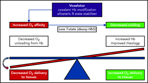 The balance between oxygen affinity of hemoglobin and oxygen delivery to the tissues. In SCA, increasing the oxygen affinity should delay hemoglobin polymerization but at a potential cost of decreasing oxygen delivery. The experimental results of Henry et al indicate that voxelotor treatment tips the scale toward decreased oxygen delivery.