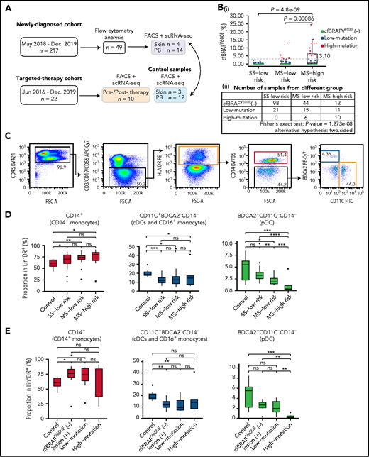 Flow cytometry analysis of circulating mononuclear phagocytes in LCH patients. (A) Overview of pediatric LCH cohorts and experimental design. (B) Box plots (i) showing the distribution of plasma cfBRAFV600E load between SS low-risk, MS low-risk, and MS high-risk patients. Wilcoxon rank sum test was used to test the significance of difference, and P values are indicated for the comparison. P < .05 is considered statistically significant. Dashed line represents the boundary of the first quarter (≥3.1%) of 63 positive samples defined as high mutation group. The median cfBRAFV600E level was 0 for both SS low-risk and MS low-risk patients and 0.45% for MS high-risk patients, whereas the mean cfBRAFV600E level was 0.11%, 0.71%, and 3.81% for SS low-risk, MS low-risk, and MS high-risk groups, respectively. Table (ii) showing the number of samples in different groups. Fisher's exact text was conducted and P < .05, suggesting the correlation between 2 groupings. (C) Gating strategy for distinguishing 3 cell subsets within the Lin−HLA−DR+ quadrant: CD14+ monocyte (pink box), CD14−CD11C+BDCA2− subset containing cDC and CD16++ monocyte (yellow box), and CD14−BDCA2+CD11c− pDC (blue box). (D-E) Box plots showing the proportions of CD14+ monocytes, CD11c+BDCA2–CD14– cells, and BDCA2+CD11c–CD14– plasmacytoid dendritic cells (pDCs) in the Lin–HLA-DR+ population from different groups. (D) Normal control (Control, n = 9), SS low-risk (n = 24), MS low-risk (n = 14) and MS high-risk patients (n = 11). (E) Normal control (Control, n = 9), cfBRAFV600E-negative, lesion BRAFV600E-positive LCH patients (cfBRAFV600E−, n = 7), low-mutation (n = 10), and high-mutation (n = 6). Kruskal-Wallis test was used for significance verification. Nonparametric Wilcoxon test P values are shown on the top of box plots. ns, P = 1; *P < .05; **P < .01; ***P < .001; ****P = .0001.