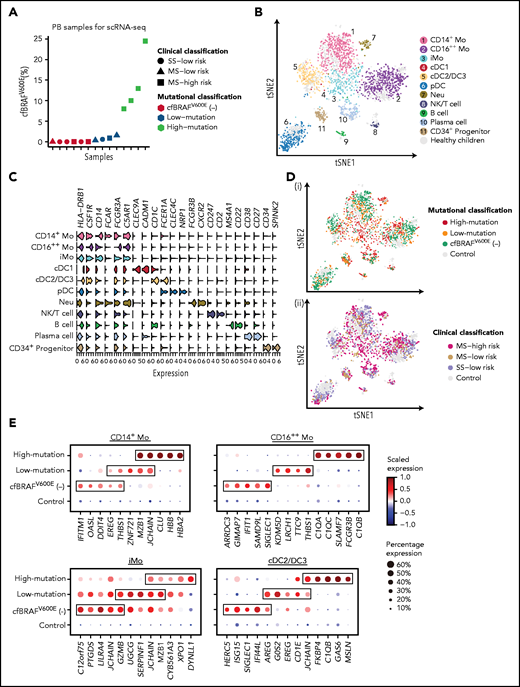 Transcriptomic profiling of circulating immune cells from LCH patients using scRNA-seq. (A) Dot plot showing the cfBRAFV600E load distribution of PB samples used for scRNA-seq (n = 14). Shapes represent the clinical classification, and colors represent the mutational classification. (B) tSNE plot visualization of 11 cell clusters identified from a total of 2727 single-cell transcriptome profiles, pooled from LCH patients and healthy controls. The Lin−HLA-DR+ population (green box) and the subsets within it including CD14+ monocyte (pink box), CD14−CD11C+BDCA2− subset containing cDC and CD16++ monocyte (yellow box), and CD14−BDCA2+CD11c– pDCs (blue box) are sorted for single-cell RNA sequencing (Figure 1C). (C) Violin plot overview of the expression of curated feature genes in each immune cell cluster. (D) tSNE plots of circulating hematopoietic cell clusters overlaid with mutational (i) and clinical classification (ii). (E) Dot plots showing the average expression level and percentage of cells expressing top 5 differential expression genes (DEGs) for CD14+ Mo, CD16++ Mo, iMo, and cDC2/DC3 of each mutational group compared with normal control. DEGs are detected using function FindMarkers in Seurat (Wilcoxon-rank-sum test, with P value adjusted for multiple testing using Benjamini-Hochberg correction). Top 5 DEGs with log fold change >1, adjusted P < .01, and expressed by more than 50% cells in each group are selected for visualization.
