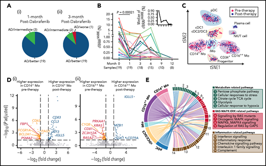 Therapeutic efficacy and underlying transcriptional mechanisms of the BRAF inhibitor. (A) Pie charts showing the response of 22 LCH patients after 1 (i) and 3 months (ii) of treatment with dabrafenib. Briefly, treatment response was categorized as complete resolution (nonactive disease/NAD), regression (active disease/AD-better), lesion stable or regression with new involvement (AD-intermediate), and progression (AD-worse). (B) Line graph showing plasma cfBRAFV600E load kinetics across time during dabrafenib treatment, with the median load of cfBRAFV600E at each time point shown (upper right). The number of samples are shown below the corresponding time points. Wilcoxon rank sum test is used to test the significance of difference, and P value is indicated for the comparison. The plasma cfBRAFV600E load significantly decreased after 1 month of treatment (therapy onset vs 1 month), whereas there is no significant difference in cfBRAFV600E load between any subsequent time points across individuals. (C) tSNE visualization of pre- and posttherapy samples with clusters projected (n = 1261 cells total). Red and blue dots represent cells of pre- and posttherapy samples, respectively. (D) Volcano diagrams showing the DEGs in CD14+ Mo (i) and CD16++ Mo (ii) of pre- and posttherapy samples. Orange and blue dots represent upregulated DEGs in pre- and posttherapy samples, respectively. Red dots represent DEGs involved in the RAS-MAPK-ERK pathway. Having investigated the expression of interested genes across individual patient, only the ones with significantly differentially expressed in at least 2 patients before and after 1-month treatment are selected to visualization. (E) GSEA for DCs and monocytes of pretherapy samples compared with posttherapy samples. Pathways enriched in pretherapy samples with nominal (NOM) P < .05 and false discovery rates (FDR) q < 0.20 are selected for visualization. Links represent different enrichment pathways and the numbers correspond to the pathways listed in the boxes on the right.
