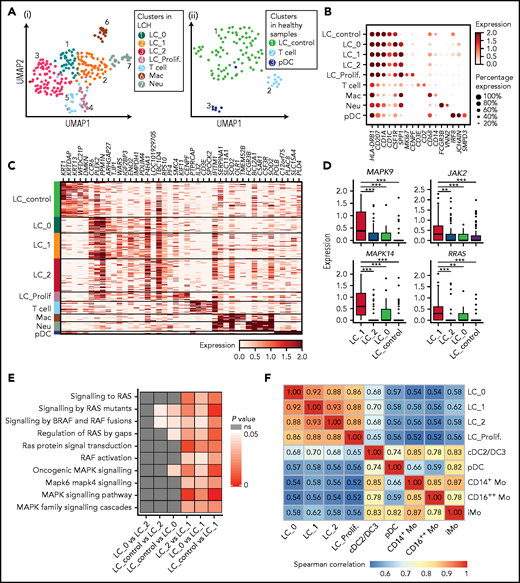 Identification of heterogenous CD207+CD1A+ subclusters in LCH skin. (A) UMAP visualization of cell clusters identified in CD45+ cells sorted from epidermal samples from 4 LCH patients (i) and CD45+and CD45+CD207+CD1a+ cells from epidermis of 3 healthy donors (ii). (B) Dot plot showing the average expression level and percentage of cells expressing the curated genes in each cluster. (C) Heatmap showing the expression of top 5 DEGs between different clusters identified in epidermis. DEGs are detected using functions tl.rank_gene_groups and tl.filter_rank_gene_groups in Scanpy (Wilcoxon-rank-sum test, with P value adjusted for multiple testing using Benjamini-Hochberg correction); genes with log-fold changes >1 and adjusted P < .05 were selected. (D) Boxplots showing expression of DEGs related to RAS-MAPK-ERK cascade among 4 LC clusters. (E) Heatmap showing the comparison of P values of RAS-MAPK-ERK related pathways among 4 LC subclusters. Each cell is scored for the RAS-MAPK-ERK related pathways using ssGSEA. Differences between groups are compared with Wilcoxon-rank-sum test, and P < .05 is considered to be statistically significant. (F) Correlation matrix showing the correlation coefficient between each cluster identified in skin and blood of LCH patients using complete method. Spearman correlation coefficient is calculated using genes with average expression >0.5.