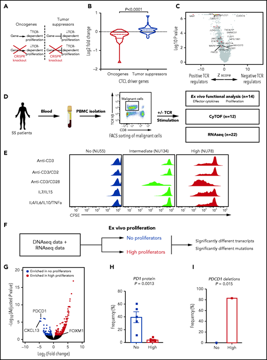 Functional assays identify PD1 as a monogenic driver of TCR-dependent phenotypes. (A) Hypothesized effects of knockout of CTCL tumor suppressors and oncogenes in nontransformed T cells. (B) Log2-fold change of single-guide RNAs (sgRNAs) targeting putative CTCL driver genes in primary TCR-stimulated T cells.27P < .0001, by 2-sided, unpaired Student t test. (C) Volcano plot of z-score and log2-fold change of sgRNAs in primary T cells.27 Putative oncogenes (red) and tumor suppressors (blue) with log10P > 2 are highlighted. (D) Functional assays performed using ex vivo culture of CTCL cells. Malignant cells were isolated via FACS sorting from peripheral blood mononuclear cells and the indicated assays performed. (E) Representative proliferation assays of CTCL cells ex vivo under 5 stimuli. CD4+ T-cell subsets were isolated from patients with CTCL or healthy controls. The cells were labeled with carboxyfluorescein diacetate succinimidyl ester (CFSE) and treated with the indicated stimuli for 7 days. Dilution of the dyes represent cell division. (F) The approach to identifying regulation of heterogenous ex vivo proliferation. (G) Volcano plot of transcripts upregulated (red) or downregulated (blue) in high proliferative compared with nonproliferative CTCL cells. Padj<.05. (H) PD1 protein expression on high (n = 6) and nonproliferative cells (n = 5) measured by flow cytometry. Flow cytometry data represent frequency of PD1 positivity ± standard error of the mean. P value determined by 2-tailed, unpaired Student t test. (I) Frequency of deletions in PDCD1 in high and nonproliferative CTCLs. P value calculated by Fisher’s exact test.