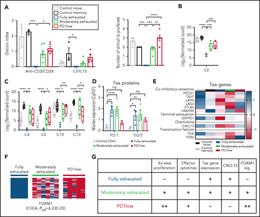 PD1-dependent molecular subgroups in CTCL differ in the extent of T-cell exhaustion phenotypes. (A) Proliferative activity of control naive (n = 3) control memory (n = 3) and fully exhausted (n = 4), moderately exhausted (n = 6), and PD1-low (n = 5) CTCL samples. Data represent mean ± standard error of the mean; 1-way analysis of variance (ANOVA), Tukey’s multiple-comparisons test. (B-C) Effector cytokine production assessed by RNA-seq after 6 hours of stimulation with anti-CD3/CD28 beads. P values determined via 1-way ANOVA, Tukey’s multiple-comparisons test. (D) Marker expression of indicated T-cell exhaustion proteins analyzed by CyTOF. P-values calculated by comparing 2-way ANOVA followed by Dunnett’s multiple-comparisons test comparing the control CD4+ group with the indicated CTCL subgroup. (E) Heat map depicting expression determined by RNA-seq of T-cell exhaustion (Tex)–related genes. Color bar (right) indicates z score for each gene. (F) Heat map of FOXM1 gene signatures in CTCL cohorts determined by RNAseq. The ChEA34P value indicates enrichment of these genes for FOXM1-binding sites. (G) Phenotypic features in each indicated subgroup. sig., signature. For all applicable panels, *P < .05, **P < .01, ***P < .001, ****P < .0001, respectively. ChEA, chromatin immunoprecipitation enrichment analysis.