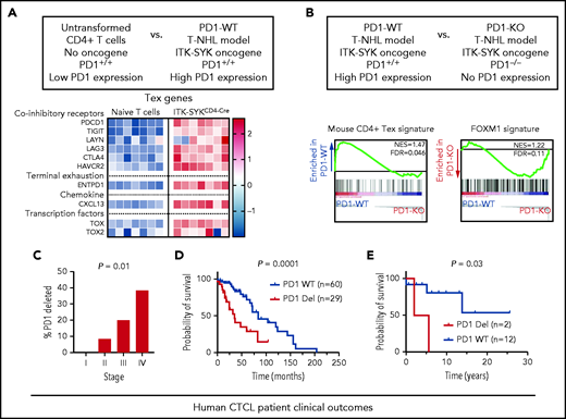 PD1 deletion reverses exhaustion in mice in vivo and predicts worse prognosis in patients. (A) Microarray based expression analysis of exhaustion-associated genes in ITK-SYK–driven murine CD4+ T cells compared with nontransformed naive T cells. Each column represents 1 biological replicate. Color bar (right) indicates expression z score. T-NHL, T-cell non-Hodgkin lymphoma. (B) Gene set enrichment analysis (GSEA) of transcripts derived from cells of PD1 competent ITK-SYKCD4CreERT2 animals (PD1+/+) in comparison with cells derived from PD1-deficient ITK-SYKCD4CreERT2;PD1−/− mice (PD1−/−). ITK-SYK–expressing cells were FACS-sorted from both genotypes at 5 days after tamoxifen treatment. (C) Percentage of PD1-deleted samples by stage across all patients with MF or SS (n = 49). χ2 test for trend. (D-E) Kaplan-Meier survival curves of SS stage IV (D) and MF stages II and III (E) according to PD1 genotypes. For stage IV SS, survival information for patients with PD1 genetic status from published studies are included.3,23 The starting date is the date of diagnosis, and the ending date is the date of death or transplantation; n indicates number of samples in each group. The P value was calculated by log-rank (Mantel-Cox) test.