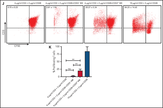 Cluster 3 cells possess a monocytic-like transcriptional signature and respond to pathogen infection. (A) Heatmap of correlation matrix of transcriptomes between mouse MK subpopulations and immune cells from published data set, including MKs, monocytes, dendritic cells (DCs), granulocytes, macrophages, CD4+ T cells, and CD8+ T cells. (B) UMAP plot of MKs from different organs and species by integrated analysis. (C) Violin plots showing the expression levels of genes involved in phagocytosis and antigen presentation in immune MKs derived from fetal mouse lung43 and BM. (D) Representative images of CD53+ MKs and monocytes stained with Wright-Giemsa stained. Scale bars, 10 μm. (E) Representative FACS plot of CD53+ MKs (CD53+CD41+) among BM samples from mice at 0, 6, 12, 24, and 30 hours after injection of LPS 4 mg/kg. Numbers in boxes represent the percentage of CD53+ MKs (CD53+CD41+) in total MKs; mean ± standard error of the mean (SEM). (F) Quantification of the frequency of MKs (CD41+) in total BM cells and CD53+ MKs (CD53+ CD41+) in total MKs from mice at 0, 6, 12, 24, and 30 hours after injection of LPS 4 mg/kg (n = 3; mean ± SEM; unpaired Student t test). (G) Heatmap displaying relative expression for selected genes involved in indicated biological processes in CD53– and CD53+ MKs isolated from mice at 0, 6, and 12 hours after injection of LPS 4 mg/kg . (H) Representative images of fluorescent Escherichia coli particles (purple) incubated with CD53+ or CD53– MKs stained with CD53 (green) and CD41 (red). Scale bars, 20 μm. BF, bright field. Images represent 3 independent experiments. (I) Quantification of the percentage of cells phagocytizing E coli particles in CD53+ and CD53– MKs: CD53+CD41+, 219 cells; CD53–CD41+, 267 cells. (J) Representative FACS plot of T-cell proliferation. T cells labeled with carboxyfluorescein succinimidyl ester (CSFE) were cultured with or without 3000 to 5000 CD53+/CD53– MKs for 3 days in the presence of anti-CD3 and anti-CD28 antibody. The upper left quadrant represents the proliferating T cells; numbers in the boxes indicate the percentage of proliferating T cells. Results are representative of 3 independent experiments. (K) Bar graph depicting the percentage of proliferating T cells in total T cells cultured with or without 3000 to 5000 CD53+/CD53– MKs for 3 days in the presence of anti-CD3 or anti-CD28 antibody (n = 3; mean ± SEM; 1-way ANOVA; *P ≤ .05; **P ≤ .01. ****P ≤.0001. n.s., not significant.