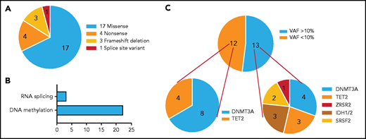 Distribution of mutations identified in patients with CIN according to amino acid changes, reading frameshifts, functional classification, and burden. (A) Distribution of coding somatic non-synonymous variants according to amino acid changes or reading frameshifts. We detected 17 missense mutations, 4 nonsense mutations, 3 frameshift deletions, and 1 splice site mutation in a total of 6 genes. (B) Distribution of coding somatic variants according to functional classification. The majority of the detected mutations affected genes involved in DNA methylation. (C) Distribution of mutations according to mutational burden. Ten patients had 13 mutations with VAF >10% distributed across 6 genes (DNMT3A, n = 4; TET2, n = 3; IDH1/IDH2, n = 3; SRSF2, n = 2; ZRSR2, n = 1). The remaining had 12 mutations with VAF <10% distributed across 2 genes (DNMT3A, n = 8; TET2, n = 4).