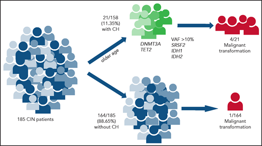 CH and progression to myeloid malignancy in CIN. Patients with CIN (n = 185) were assessed for CH by using targeted NGS. CH was detected in 21 (11.35%;) of them. Progression to myeloid malignancy was associated with VAF >10% and mutations in SRSF2 or IDH1/2. Created with BioRender.com.