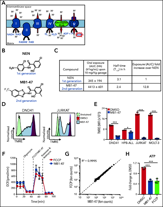 Chemical structure and mitochondrial uncoupling properties of MB1-47. (A) Schematic illustration of the ETC and the effects of uncoupling depolarizing the mitochondrial inner membrane. (B) Chemical structure of NEN and MB1-47, niclosamide-based first- and second-generation mitochondrial uncouplers, respectively. (C) Pharmacokinetic properties of NEN and MB1-47 in mice in vivo. (D) Representative flow cytometry histograms showing mitochondrial membrane potential measured by tetramethylrhodamine ethyl ester (TMRE) staining in live DND41 and JURKAT cells after 72 hours of treatment with MB1-47 (4 μM and 2 μM, respectively). (E) Geometric mean ± standard deviation (SD) quantification of TMRE staining from triplicates in 2 PTEN+ (DND41 and HPB-ALL) and 2 PTEN− (JURKAT and MOLT-3) cell lines upon 72 hours of MB-47 treatment. (F) Oxygen consumption rate (OCR) in DND41 cells, under basal conditions or in response to the indicated mitochondrial inhibitors, measured in real time using a Seahorse XF24 instrument. Data are presented as mean ± SD of n = 4 wells. (G) Metabolite levels in FCCP-treated vs MB1-47–treated DND41 cells for 24 hours (mean; n = 3). (H) Relative quantification of ATP levels from DND41 triplicates treated with DMSO, FCCP, or MB1-47 for 24 hours (mean ± SD). The goodness of fit (R2) was determined by using a simple linear regression model. Statistical significance (P) was determined by using an unpaired, 2-tailed Student t test. *P < .05; ***P < .005. AUC, area under the curve; MFI, mean fluorescence intensity.