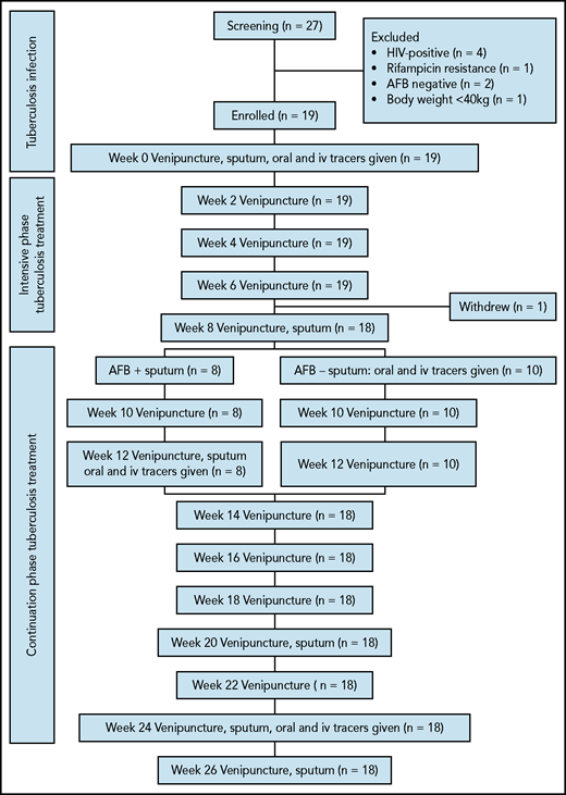 Overview of the study design. AFB–, acid-fast bacilli negative sputum; AFB+, acid-fast bacilli positive sputum.