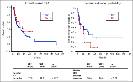 Kaplan-Meier outcomes analysis of patients with CSF+ vs those with CSF−. Cumulative proportion of OS in patients with BPDCN observed over time (months) (left); cumulative proportion of duration of complete response with first-line treatment (CR1) over time (months) (right). *CNS− includes patients who never underwent lumbar puncture analysis (n = 74).