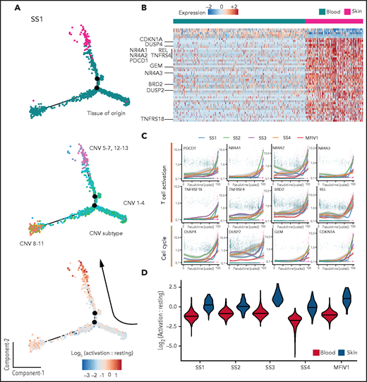Transcriptional comparison of skin- and blood-derived malignant T cells in CTCL. (A) Representative transcriptional trajectory analysis of malignant skin- and blood-derived T cells from a CTCL patient (SS1). Colored by tissue of origin (top), inferred CNV subclones (middle) and activation to resting score ratio (bottom). (B) Pairwise comparison of differentially expressed genes between skin- and blood-derived malignant T cells of 5 CTCL patients (SS1-MF stage IV1). (C) Plots showing expression of selected “T-cell activation” and “cell-cycle” genes in malignant T cells found in circulation and skin. (D) Violin plots showing T-cell activation to resting score ratios, across malignant T cells from skin and blood of 5 CTCL patients (SS1-MF stage IV1).