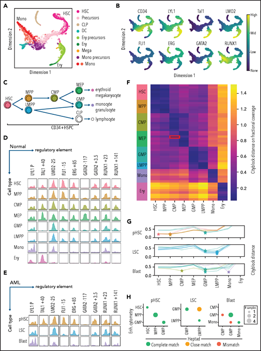 Heptad regulatory regions have dynamic accessibility profiles across normal and leukemic blood development, and accessibility patterns are sufficient to classify normal and leukemic cells. (A) tSNE plot of scRNAseq in normal BM, with cells labeled by inferred identity as determined by Setty et al.6 CLP, common lymphoid progenitor; DC, dendritic cell (B) Relative expression of CD34 and heptad genes projected on to the tSNE plot in panel A. (C) The branching hierarchy model of normal blood development showing relationships between the cell populations shown in panel D. (D) ATACseq peaks at heptad regulatory regions over developmental time. Plots show merged data from available replicates. (E) ATACseq peaks at heptad regulatory regions in 1 representative patient with AML, showing pHSCs, LCSs, and leukemic blasts (Blast). (F) Classification of normal cell types using only ATACseq signal at heptad regulatory regions. Heat map shows calculated distance between each sample and the training set. The red box indicates a single MEP replicate that was misclassified as a CMP. (G) Classification of AML nearest normal cell type using only ATACseq signal at heptad regulatory regions. Plots show distance from each normal cell type for preleukemic HSCs, LSCs, and leukemic blasts from 7 patients with AML. (H) Performance of the heptad regulatory region classifier compared with previous classification of these samples using genome wide enhancer (Enh.) cytometry. Panels D and H adapted from Corces et al4 with permission. tSNE, t-distributed stochastic neighbor embedding.