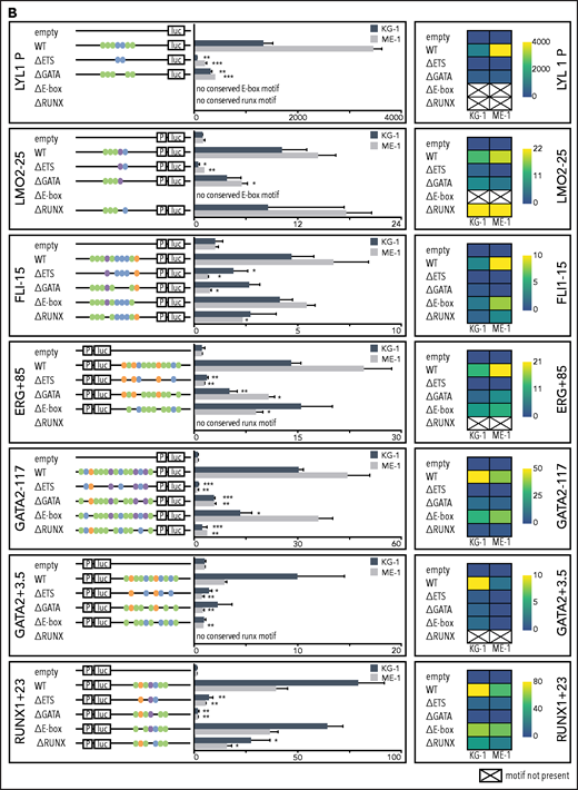 Specific TF consensus binding motifs, particularly ETS and eiGATA motifs, are critical for function of heptad regulatory elements. (A) Schematic showing process for selecting TF binding motifs for mutation and luciferase reporter workflow. (B) Conserved TF binding motifs in heptad regulatory elements that were highly bound by heptad TFs in AML cell lines, and activity of wild-type (WT) and mutated luciferase constructs in KG-1 and ME-1 cells (left). Activity is scaled relative to the empty vector, and graphs show representative data from a single transfection experiment. *P < .05; **P < .01; ***P < .001, t test. Heat maps showing aggregate data from all luciferase experiments (right). Data from biological replicates were normalized to WT activity for each experiment, then aggregate data scaled relative to empty vector. Heat maps are scaled from 0 to maximum luciferase activity for each regulatory element. (C) Schematics showing conserved TF binding motifs in heptad regulatory elements that were highly bound by heptad TFs in AML cell lines, and activity of WT luciferase constructs in KG-1 and ME-1 cells. Activity is scaled relative to the empty vector, and graphs show representative data from a single transfection experiment. *P < .05; **P < .01; ***P < .001 (Student t test).