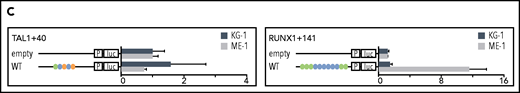 Specific TF consensus binding motifs, particularly ETS and eiGATA motifs, are critical for function of heptad regulatory elements. (A) Schematic showing process for selecting TF binding motifs for mutation and luciferase reporter workflow. (B) Conserved TF binding motifs in heptad regulatory elements that were highly bound by heptad TFs in AML cell lines, and activity of wild-type (WT) and mutated luciferase constructs in KG-1 and ME-1 cells (left). Activity is scaled relative to the empty vector, and graphs show representative data from a single transfection experiment. *P < .05; **P < .01; ***P < .001, t test. Heat maps showing aggregate data from all luciferase experiments (right). Data from biological replicates were normalized to WT activity for each experiment, then aggregate data scaled relative to empty vector. Heat maps are scaled from 0 to maximum luciferase activity for each regulatory element. (C) Schematics showing conserved TF binding motifs in heptad regulatory elements that were highly bound by heptad TFs in AML cell lines, and activity of WT luciferase constructs in KG-1 and ME-1 cells. Activity is scaled relative to the empty vector, and graphs show representative data from a single transfection experiment. *P < .05; **P < .01; ***P < .001 (Student t test).