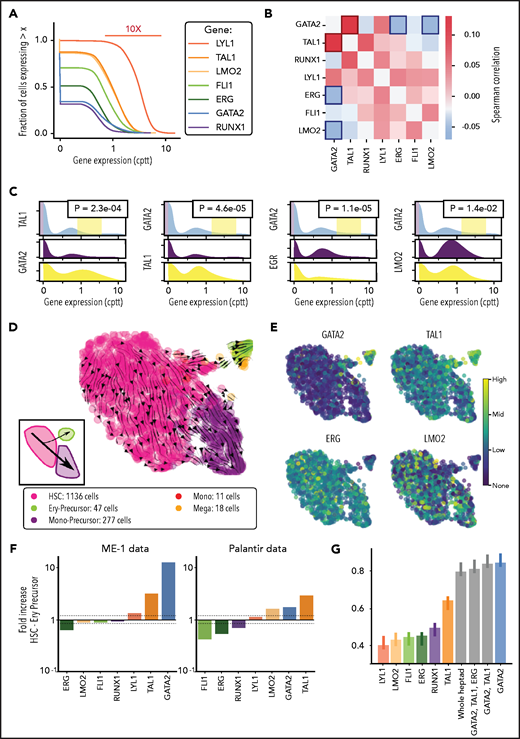 Single-cell transcriptomics in ME-1 cells reveals branching heterogeneity consistent with GATA2 regulation. (A) Cumulative expression distributions for heptad genes in single ME-1 cells. cppt: counts per 10 000 reads. (B) Pairwise Spearman correlations between heptad genes in single cells. (C) Censored distributions of gene expression for the gene pairs highlighted in panel B. The 2 bottom panels show the expression of the second gene in the lowest 10% and highest 5% of expressing cells for the first gene. P values refer to a Kolmogorov-Smirnov 2-sample test between the purple and green distributions. (D) Uniform manifold approximation and projection (UMAP) embedding of ME-1 cells and cell state assignment based on Northstar55 and the Palantir data, used as an atlas (Figure 1). Streamlines show RNA velocity as computed by scVelo,57 projected onto the same embedding. Inset: the branching phenotype within ME-1 cells, indicating that the cell flux into the ery-precursor–like state is a rare event. (E) Expression of the 4 heptad genes highlighted in panel B on the embedded cells. (F) Fold increase in heptad gene expression across the HSC to ery-precursor–like state in ME-1 cells (left). Fold increase in heptad gene expression across the HSC-to-ery-precursor state in normal CD34+ HSPCs cells (right). (G) Performance of random forest classifiers between HSC-like and ery-precursor–like states in ME-1 cells, trained solely on Palantir data with a spectrum of selected features. The presence of GATA2 expression in the model is essential for its accuracy. Error bars indicate standard deviation over 10 runs of the predictor with data resampling in each run.